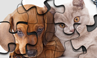 http://files.cdn.spilcloud.com/gms_s/1453392540_cat_vs_dog_puzzle_L.jpg