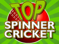 Image result for Top spinner cricket
