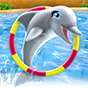 My Dolphin Show