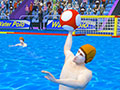Summer Sports: Water Polo Summer Sports: Water Polo
