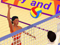 Summer Sports: Beach Volleyball Summer Sports: Beach Volleyball