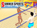 Beach Volleyball: Qlympics Summer Games Beach Volleyball: Qlympics Summer Games