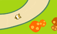 Hamster Race