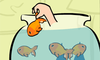Save Them Goldfish