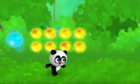 La course du panda