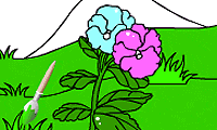 Colorie les fleurs