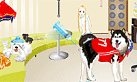 Dogs at the Vet Dress Up