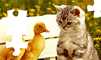 Kitten & Ducks Puzzle