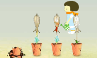 JJ’s Flower Garden