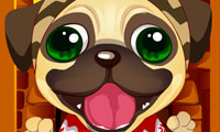 Anjing Natal Imut