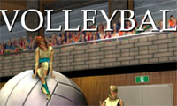 Game Voli 3D