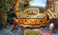 The enchanted forest