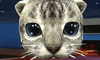 Cat 3D Simulator