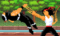 Kung fu gevecht: sla ze in elkaar