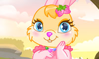 Cute Bunny Dress Up
