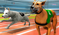 Symulator wyścigów psów