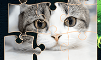 Jigsaw Puzzles: Cats