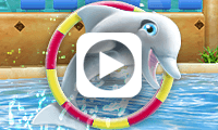 My Dolphin Show Trailer