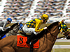 Horse Racing