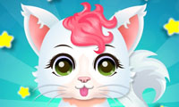 Baby Kitty Salon